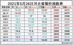 5月26日河北省生豬價格漲跌表，豬價超北京，玉米大漲85元