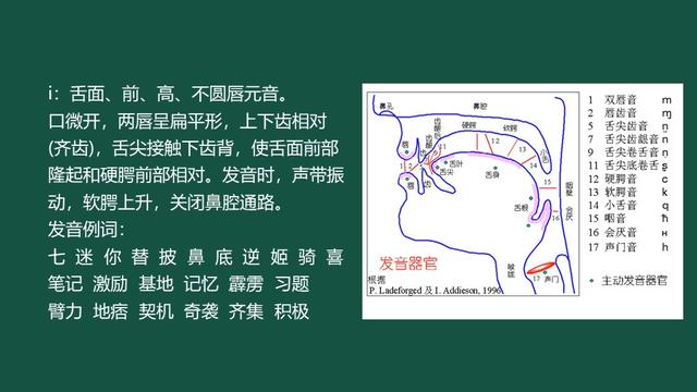 韻母i的發(fā)音要點及字詞發(fā)音練習指南